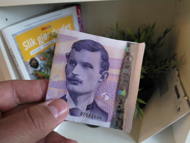 Nærbilde innendørs Nærbilde innendørs