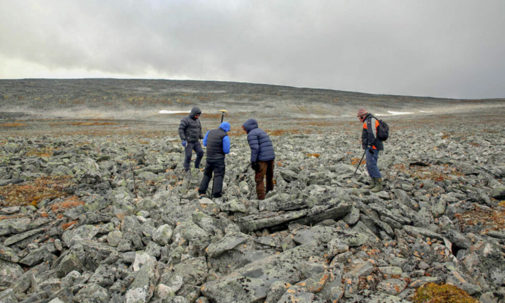 MYE VIL HA MER: Fylkesarkeologene tok med seg turfølget opp for å se om de kunne finne flere vikinggjenstander. Foto: Espen Finstas, Secrets of the Ice/Oppland Fylkeskommune MYE VIL HA MER: Fylkesarkeologene tok med seg turfølget opp for å se om de kunne finne flere vikinggjenstander. Foto: Espen Finstas, Secrets of the Ice/Oppland Fylkeskommune