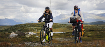 Frykter at turistene dropper Norge Frykter at turistene dropper Norge