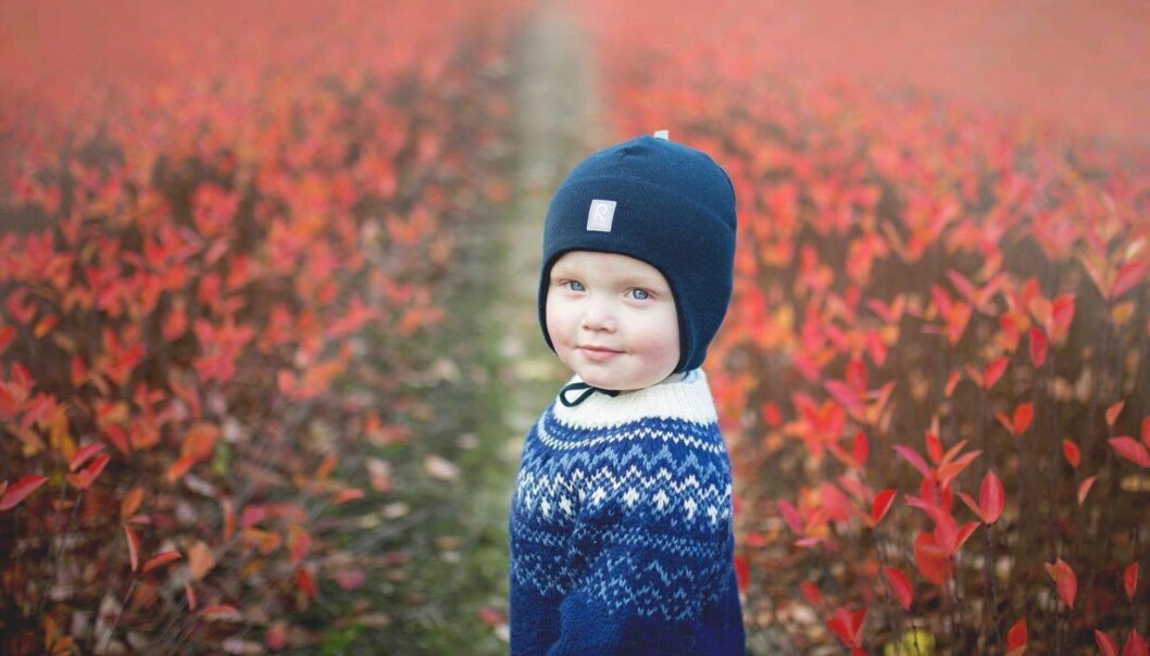 KAN FÅ FLERE SØSKEN: I en fryser i Danmark ligger det fortsatt tre ferdig befruktede egg som en gang i fremtiden kan gi Samuel August og Christopher søsken. Foto: Fotograf Sundsvold KAN FÅ FLERE SØSKEN: I en fryser i Danmark ligger det fortsatt tre ferdig befruktede egg som en gang i fremtiden kan gi Samuel August og Christopher søsken. Foto: Fotograf Sundsvold