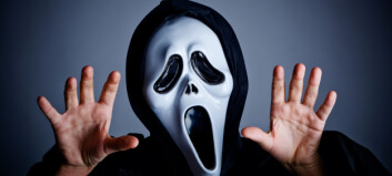 Unormalt mye bråk i Oslo og bombevest i Bergen. Halloween skaper hodebry for politiet Unormalt mye bråk i Oslo og bombevest i Bergen. Halloween skaper hodebry for politiet