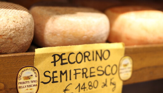 <strong>OST I LANGE BANER:</strong> Det meste i Pienza handler om ost. Pecorino fås i svært mange varianter, fra fersk til vellagret, dynket i vin eller tilsatt ulike krydder. Foto: Heidi Røsok-Dahl <strong>OST I LANGE BANER:</strong> Det meste i Pienza handler om ost. Pecorino fås i svært mange varianter, fra fersk til vellagret, dynket i vin eller tilsatt ulike krydder. Foto: Heidi Røsok-Dahl