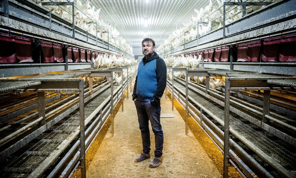 VANSKELIG TID: «Farmen»-deltakeren Halvor Sveen (47) synes det var svært tungt å bli dømt for dyremishandling. Her fra hønsehuset han drifter sammen med lillebror Magnar, hjemme i Rendalen. Foto: Thomas Rasmus Skaug / Dagbladet VANSKELIG TID: «Farmen»-deltakeren Halvor Sveen (47) synes det var svært tungt å bli dømt for dyremishandling. Her fra hønsehuset han drifter sammen med lillebror Magnar, hjemme i Rendalen. Foto: Thomas Rasmus Skaug / Dagbladet