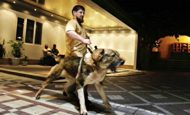 image: Han er Putins «pitbull»