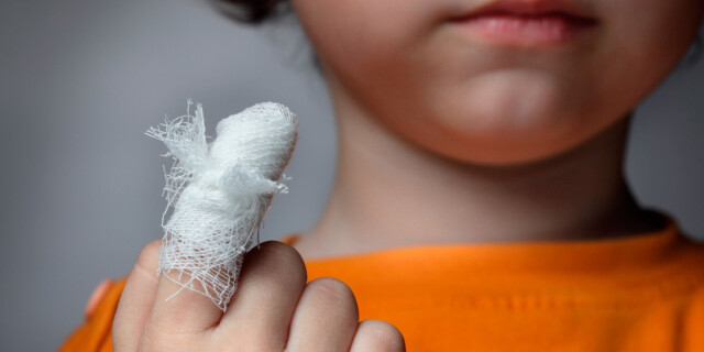 Kattebitt gravid Kattebitt gravid