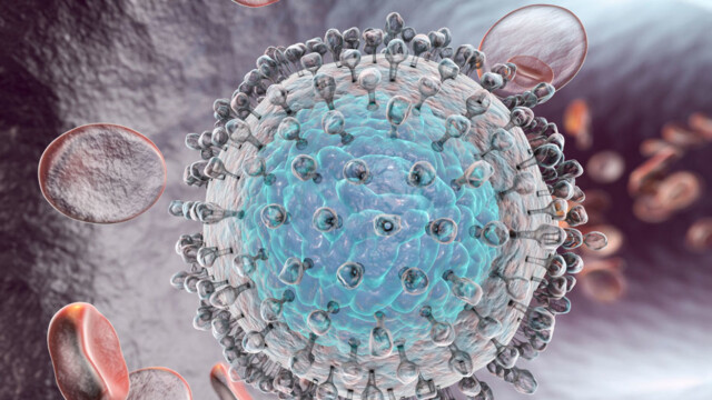 Hepatitt c Hepatitt c