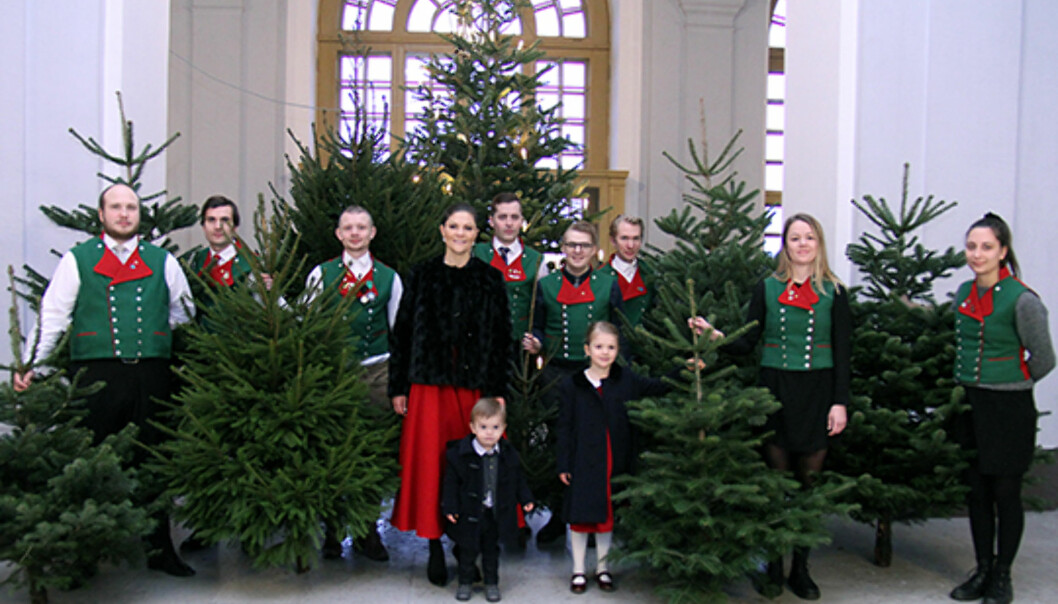 JULEGRAN: Prinsesse Estelle og prins Oscar var med mamma kronprinsesse Victoria til Sveriges lantbruksuniversitet den 14. desember for å ta imot julegranen som skal stå på slottet i Stockholm. Foto: Kungahuset.se JULEGRAN: Prinsesse Estelle og prins Oscar var med mamma kronprinsesse Victoria til Sveriges lantbruksuniversitet den 14. desember for å ta imot julegranen som skal stå på slottet i Stockholm. Foto: Kungahuset.se