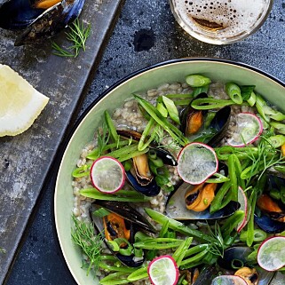 GRYN: Utvider grøt-konseptet, inspirert av København-restauranten Grød. Foto: Gryn Oslo GRYN: Utvider grøt-konseptet, inspirert av København-restauranten Grød. Foto: Gryn Oslo