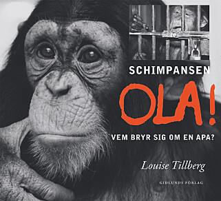 NY BOK: Louise Tillberg var Olas vertskap i Stockholm. Nå lurer hun på hva som har skjedd med Julius' yngre bror. NY BOK: Louise Tillberg var Olas vertskap i Stockholm. Nå lurer hun på hva som har skjedd med Julius' yngre bror.