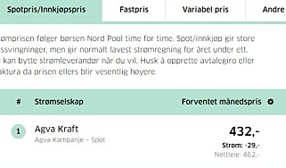 PRISLEDENDE: På Forbrukerrådets tjeneste strømpris.no kan du lett finne ut hvor du får den billigste strømavtalen. Skjermdump fra 01. november 2017 PRISLEDENDE: På Forbrukerrådets tjeneste strømpris.no kan du lett finne ut hvor du får den billigste strømavtalen. Skjermdump fra 01. november 2017