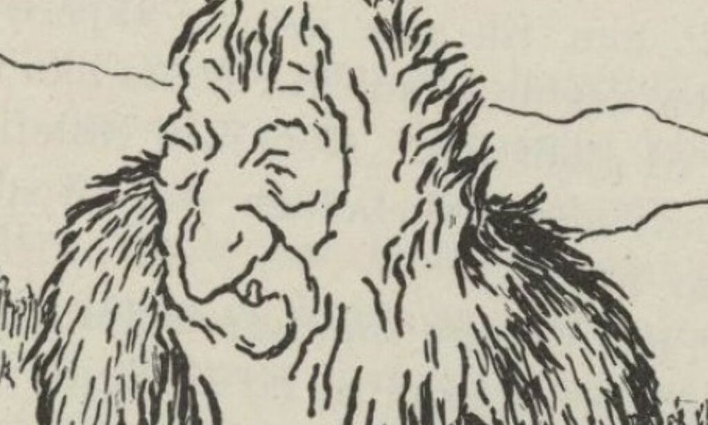 image: Monstre i norsk strafferettspleie