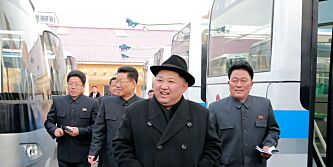 image: FN: Kim har tjent milliarder på ulovlig eksport