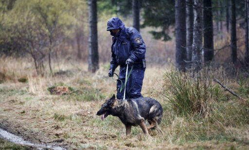 image: Svensk politi desperate etter tips etter drapet på kvinnelig jogger:- Kan ha ventet på et offer