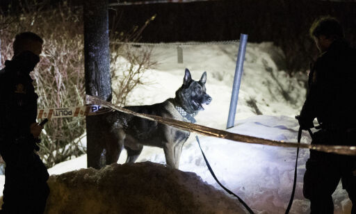 image: Politiet gransker videobilder