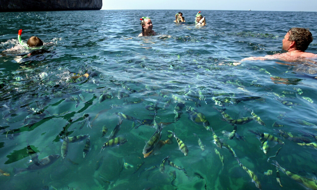 OVERBEFOLKET: Opptil 5000 turister kommer til Maya Beach hver dag. Det er mer enn livet i havet kan absorbere. Foto: NTB Scanpix OVERBEFOLKET: Opptil 5000 turister kommer til Maya Beach hver dag. Det er mer enn livet i havet kan absorbere. Foto: NTB Scanpix