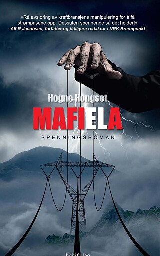 SENDT TIL POLITIKERE: Forbundet Industri Energi har kjøpt 13 000 eksemplarer av boka «Mafiela»