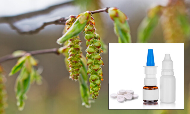 Kortison nesespray gravid Kortison nesespray gravid