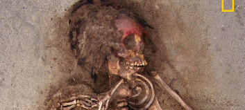 Arkeologer i Peru gravde opp en 550 år gammel hemmelighet Arkeologer i Peru gravde opp en 550 år gammel hemmelighet