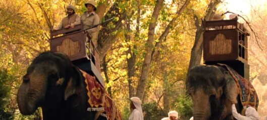 Ville elefanter i «Westworld» får dyrevernere til å rase Ville elefanter i «Westworld» får dyrevernere til å rase