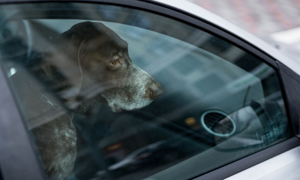 image: Så raskt kan bilen din bli en dødsfelle