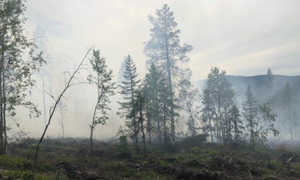 RØYK: Det er mye røyk i området som tok fyr. Foto: Brannvesenet, Midt-Hedmark RØYK: Det er mye røyk i området som tok fyr. Foto: Brannvesenet, Midt-Hedmark