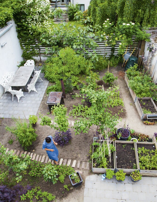 I den grønne gården er det plass til både høybed og en fin terrasse. FOTO: Pernille Enoch I den grønne gården er det plass til både høybed og en fin terrasse. FOTO: Pernille Enoch