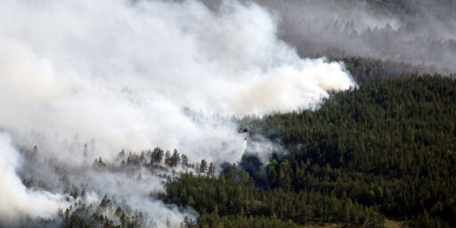 image: Ti år siden storbrannen på Froland: - Ser fortsatt ut som et månelandskap