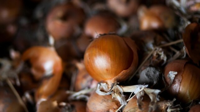 TØRKING: Ved å tørke grønnsaker før bruk, beholder man fargen, aromaen og den naturlige smaken langt bedre. TØRKING: Ved å tørke grønnsaker før bruk, beholder man fargen, aromaen og den naturlige smaken langt bedre.