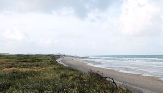 <strong>STOR STRAND:</strong> Men husk at vind fra vest kan være kjølig. Foto: Kristin Sørdal <strong>STOR STRAND:</strong> Men husk at vind fra vest kan være kjølig. Foto: Kristin Sørdal