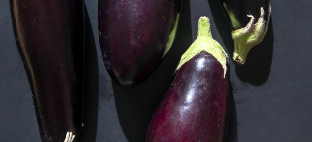 Aubergine kan du ikke spise rå og den bør ligge med salt og litt sitronvann før tilberedning. Foto: Dagbladet Aubergine kan du ikke spise rå og den bør ligge med salt og litt sitronvann før tilberedning. Foto: Dagbladet