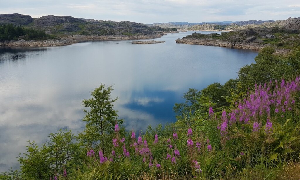 NÅ; Spjodevatned ved Egersund er nå et nedtappet magasin. Foto: Fred Wenger/NVE