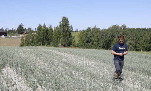image: Nei til statlige krisepakker på grunn av vær