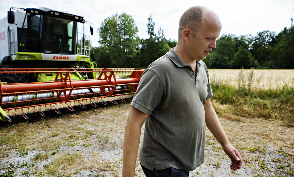TRESKING: Vedum tresker noe av kornet når Dagbladet er på besøk, men mye av åkeren er ødelagt. Foto: Frank Karlsen / Dagbladet TRESKING: Vedum tresker noe av kornet når Dagbladet er på besøk, men mye av åkeren er ødelagt. Foto: Frank Karlsen / Dagbladet