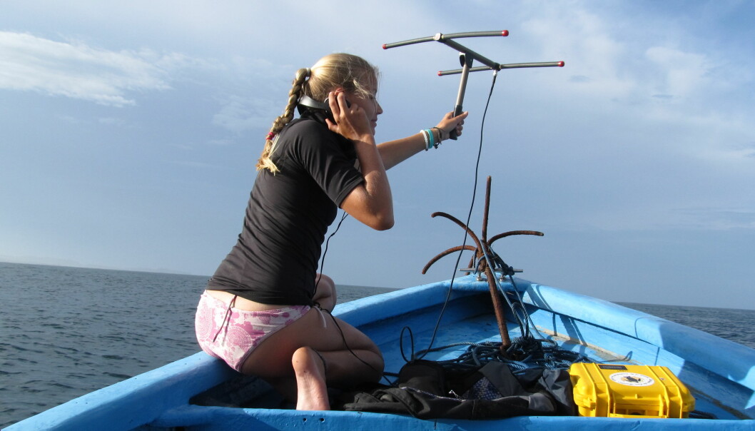 <strong>HENTER BEVIS:</strong> Christine Figgener vet hvor mye plast som ender på havet. Foto: Gjengitt med tillatelse fra C. Figgener <strong>HENTER BEVIS:</strong> Christine Figgener vet hvor mye plast som ender på havet. Foto: Gjengitt med tillatelse fra C. Figgener