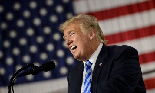 image: Donald Trump brutalt avkledd av norsk forfatter