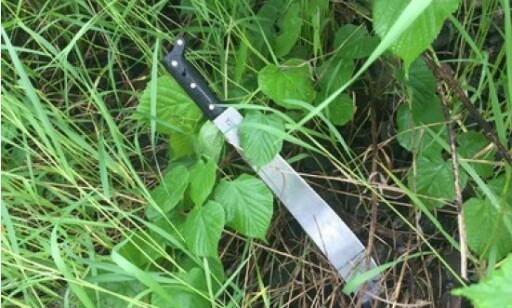 VÅPENET: Politiet mener det er dette våpene som ble brukt under angrepet på en 23-åring. Foto: Politiet. VÅPENET: Politiet mener det er dette våpene som ble brukt under angrepet på en 23-åring. Foto: Politiet.