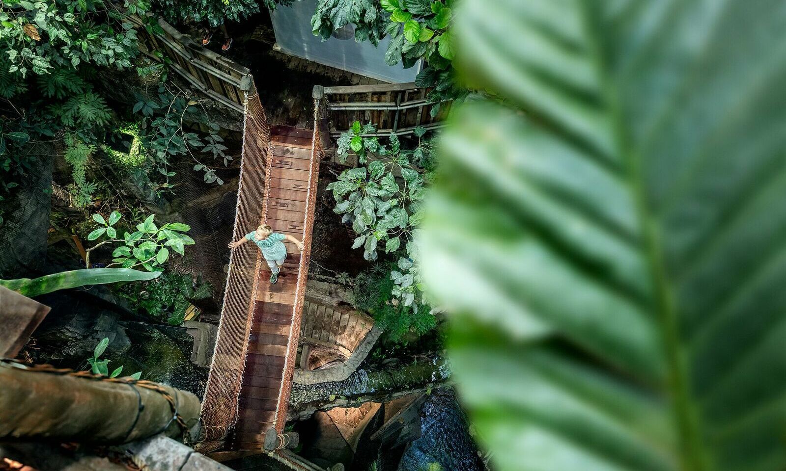 Foto: Universeum Foto: Universeum
