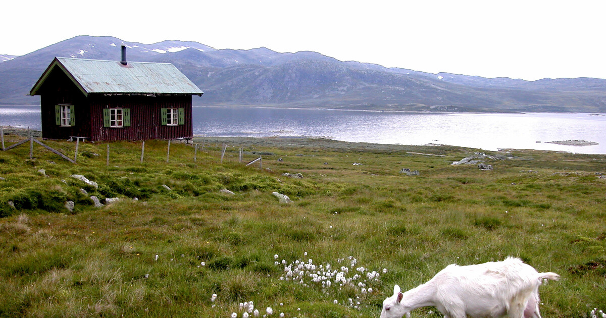 Åremål kontrakt Åremål kontrakt