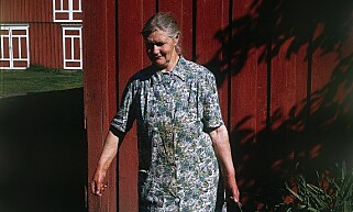 BRÅS BESTEMOR: Oddvar Brå kjørte ofte forbi der bestemora bodde, men han møtte henne aldri. Han angrer på at han aldri forsøkte å ta kontakt. Foto: Privat BRÅS BESTEMOR: Oddvar Brå kjørte ofte forbi der bestemora bodde, men han møtte henne aldri. Han angrer på at han aldri forsøkte å ta kontakt. Foto: Privat