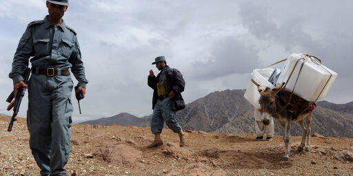 image: I Afghanistan fraktes stemmeurner på esel