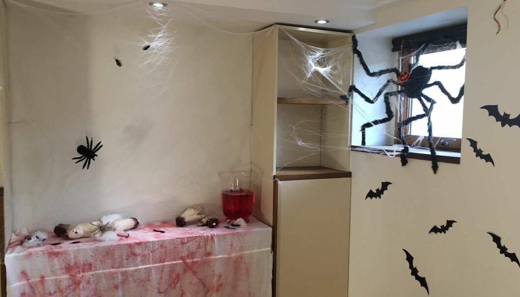 BLODIGE DUKER: Rita kan fort bruke ei hel uke på å pynte til Halloween. Essensielle ingredienser er mange «avhogde kroppsdeler og blod». FOTO: Privat BLODIGE DUKER: Rita kan fort bruke ei hel uke på å pynte til Halloween. Essensielle ingredienser er mange «avhogde kroppsdeler og blod». FOTO: Privat