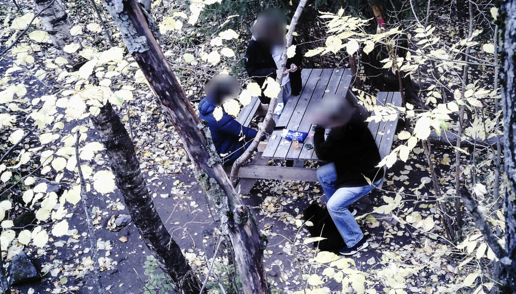 VILTKAMERA: Dagbladet hang opp et viltkamera i skogen for å dokumentere virksomheten. Foto: Dagbladet. VILTKAMERA: Dagbladet hang opp et viltkamera i skogen for å dokumentere virksomheten. Foto: Dagbladet.