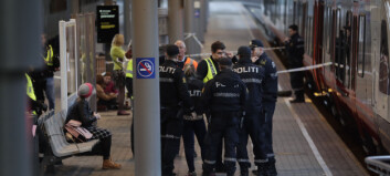 Vitne om knivdrama: - Vi så en mann som gikk til angrep på en annen Vitne om knivdrama: - Vi så en mann som gikk til angrep på en annen
