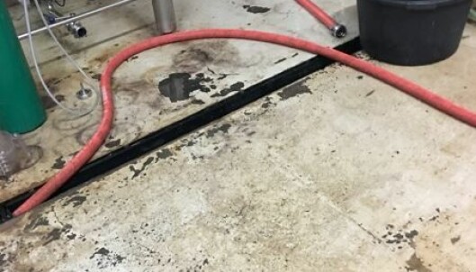 VEDLIKEHOLDSBEHOV: Gulvet i produksjonslokalet var tydelig slitt. Foto: Mattilsynet VEDLIKEHOLDSBEHOV: Gulvet i produksjonslokalet var tydelig slitt. Foto: Mattilsynet