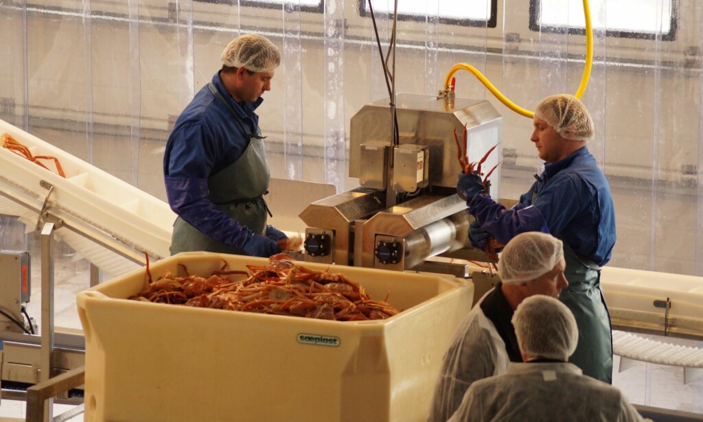 HAPPY DAYS: Everything was just idyllic in Båtsfjord when the new crab factory opened. Here from the opening day. Photo: Andrei Kazakov. HAPPY DAYS: Everything was just idyllic in Båtsfjord when the new crab factory opened. Here from the opening day. Photo: Andrei Kazakov.