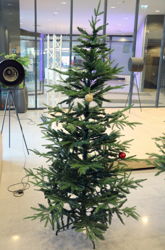 Rusta Gran Play Rasta Gran 2019 12 26