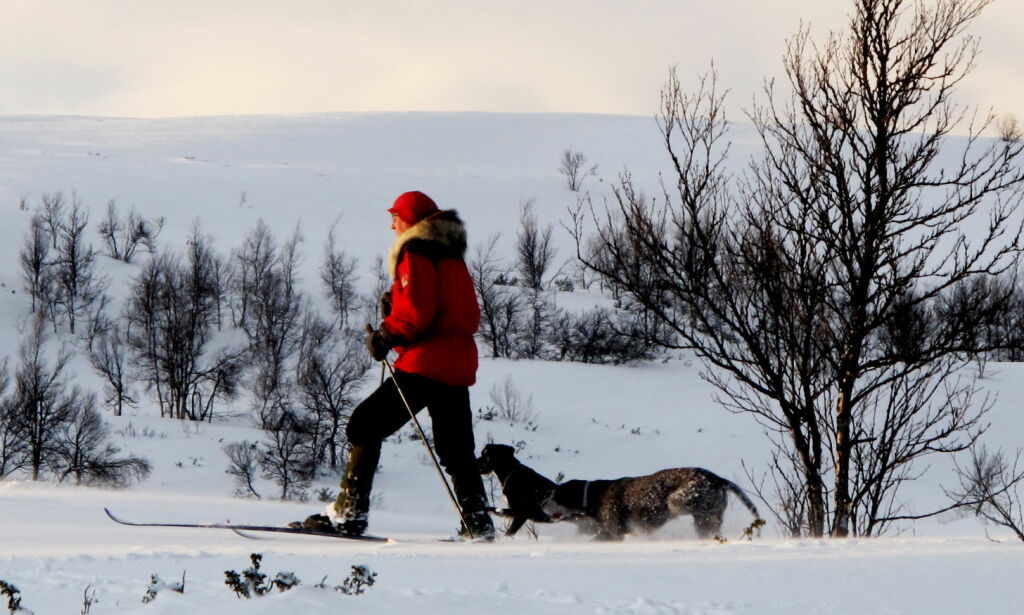 image: Været: Noen kan få opp mot 40-50 cm snø