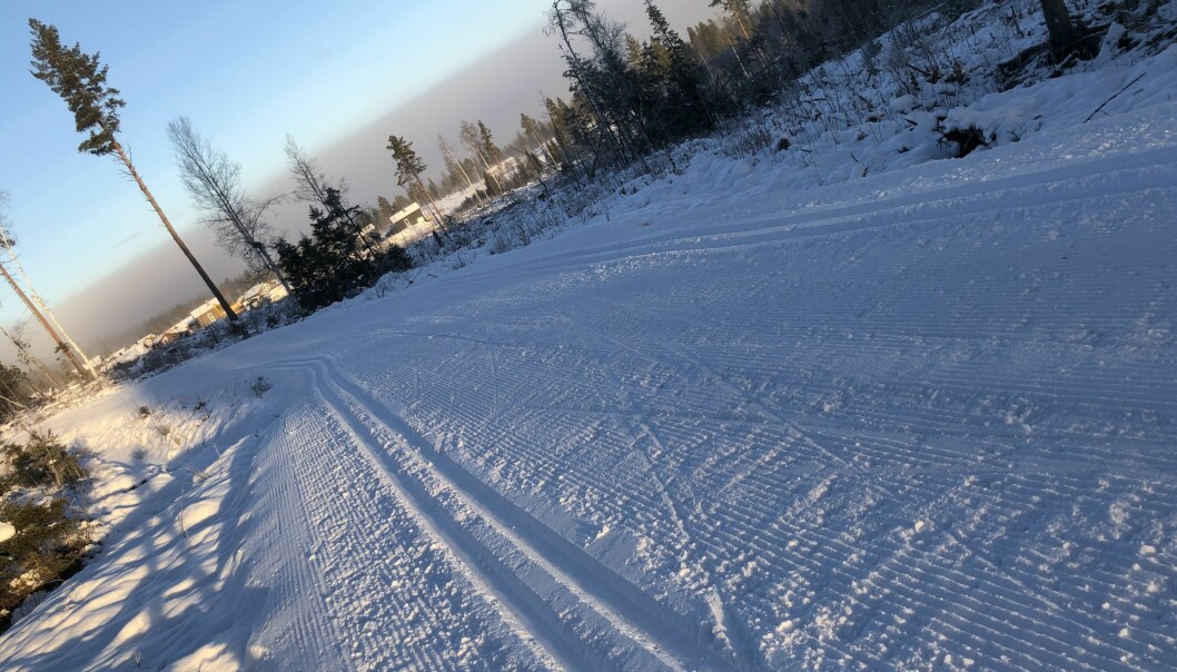 KLARGJORT: Det er bare å boltre seg i skiløypene i Trysil. Foto: Anita Moen/Trysil.com KLARGJORT: Det er bare å boltre seg i skiløypene i Trysil. Foto: Anita Moen/Trysil.com