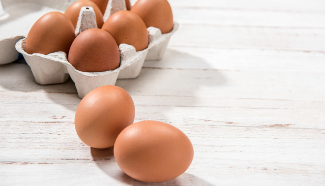 EGG: Egget inneholder de fleste næringsstoffer, og MatPrat kaller det for naturens egen vitaminkapsel. Foto: Shutterstock EGG: Egget inneholder de fleste næringsstoffer, og MatPrat kaller det for naturens egen vitaminkapsel. Foto: Shutterstock