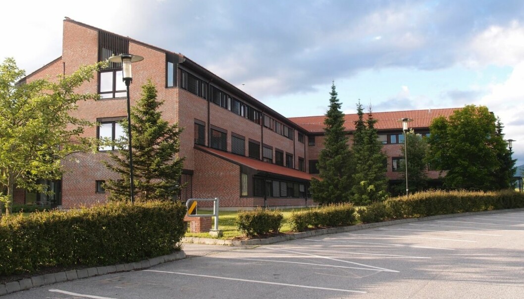 Samles i sorg på campus Samles i sorg på campus
